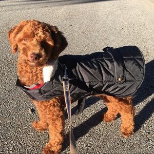 Meet your Posher, Nadia